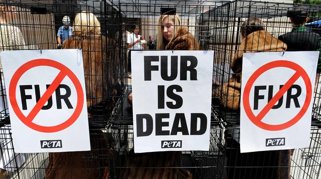 Animal Rights Advocates Get Furred Up