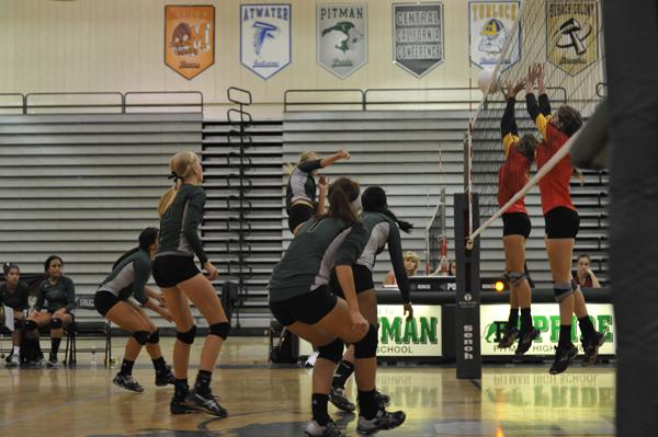 Pitman Volleyball Dominates