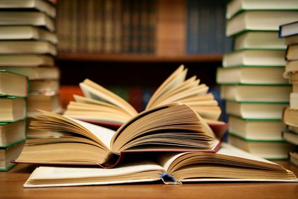 Reader's Choice: Classical Versus Modern Books