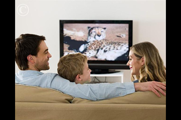 Televisions Gradual Decline in Quality