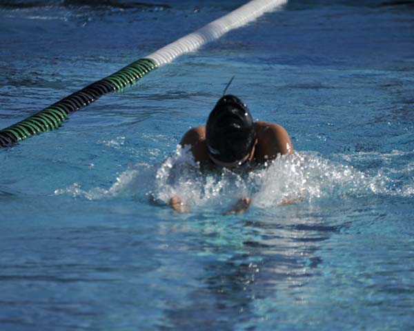 Pride Pre-season Swim Brings Excitement