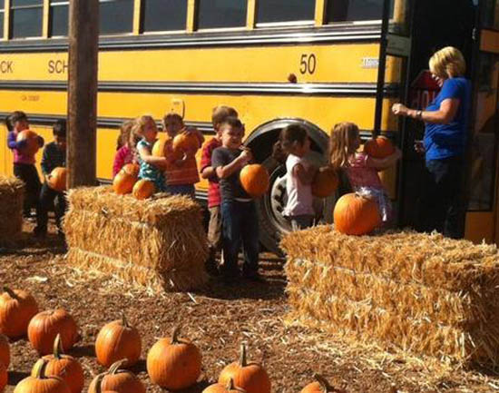 Autumn Adventures: Corn Maze Edition