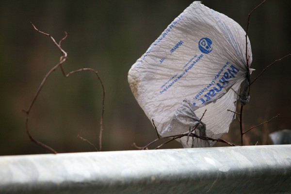 An End to Plastic Bags 