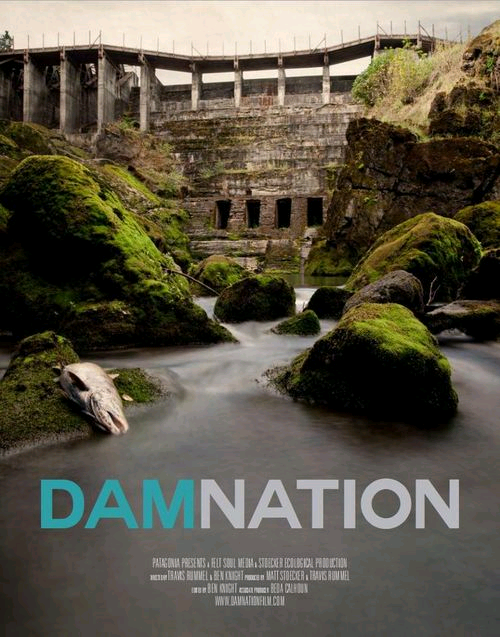 Damnation: The Truth Behind Dams