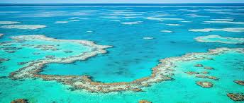 RIP to the Barrier Reef