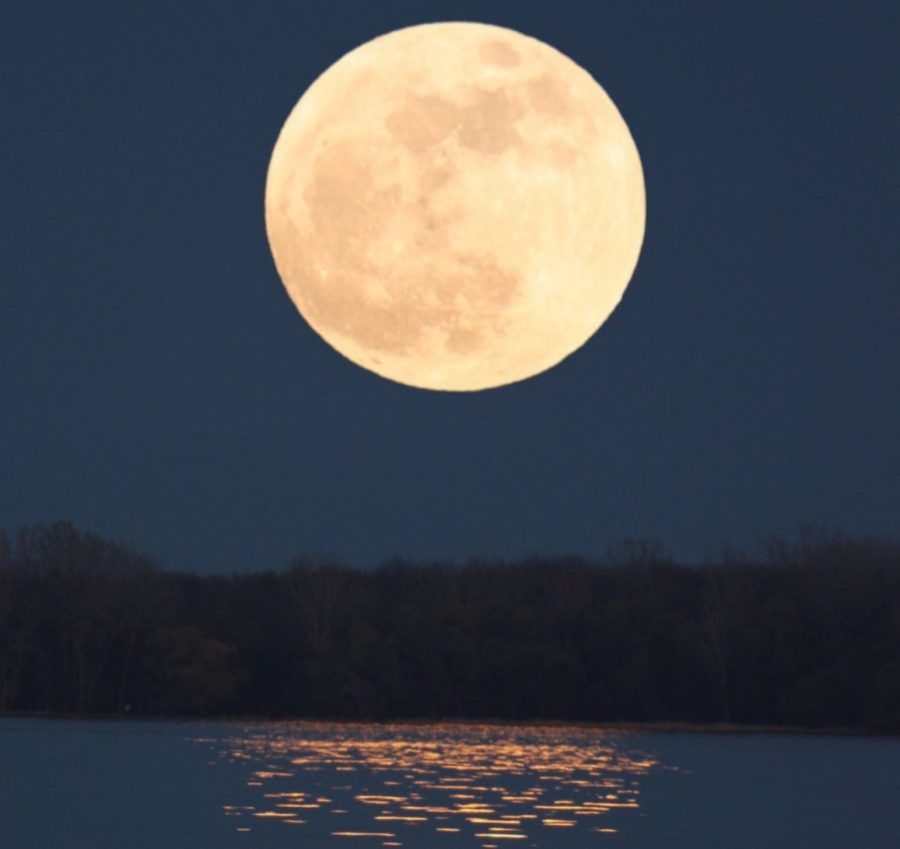 Was The Supermoon Really That Super?