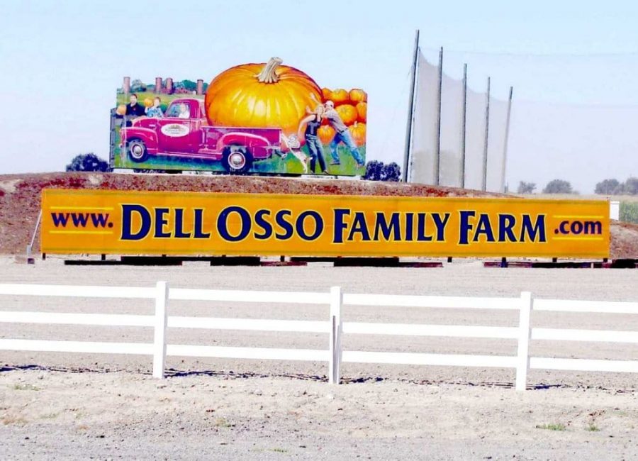 The+DellOsso+Pumpkin+Maze