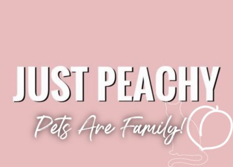 Just Peachy: Pets are Family!