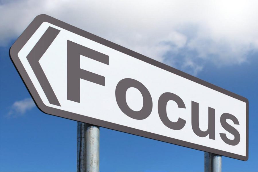 Feeding the Focus in 2019
