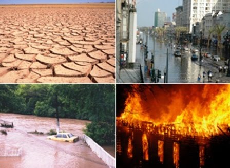Environmental Issues of Today