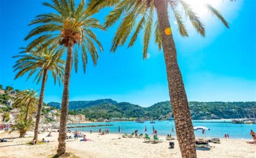 Summer 2019