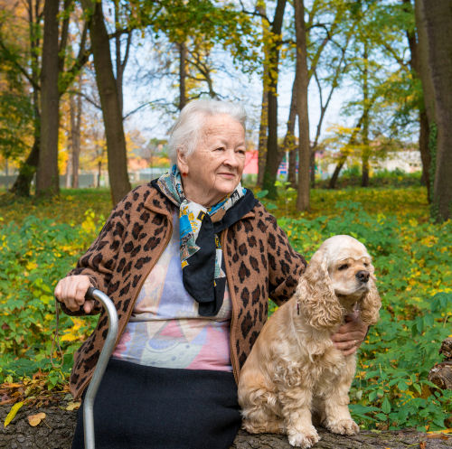 Old woman sitting on a bench with a dog in autumn park