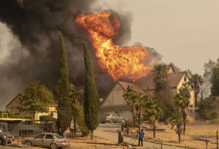  What Everybody Ought to Know About the Bay Area Wildfires