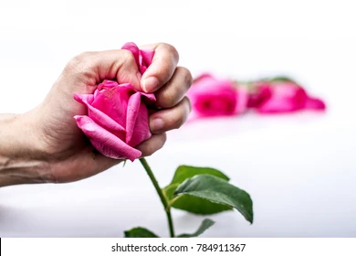 Why Valentine's Day is Unhealthy and Useless