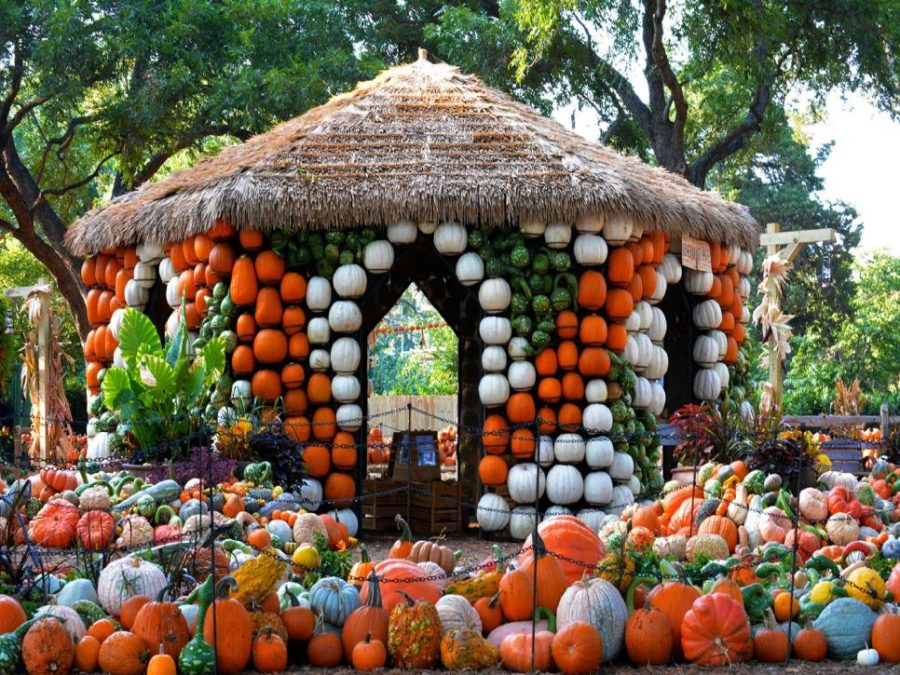 Haunted Houses or Pumpkin Patches?