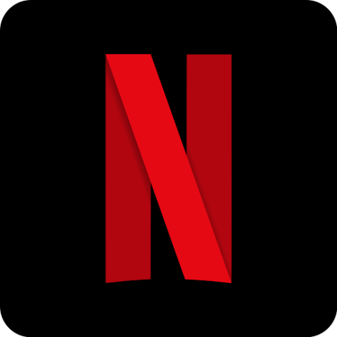 Netflix 2021 Review