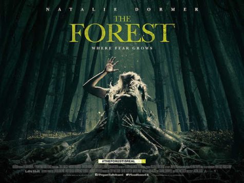 The Forest: Summary of a Badly Rated Film
