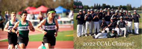 Spring Sports Overview