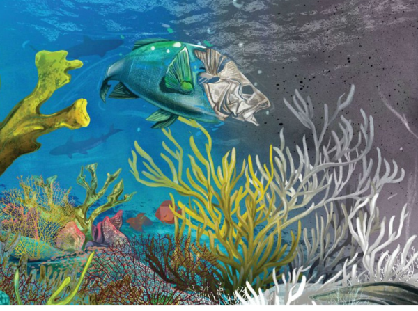 Why Coral Reefs are Dying